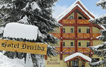 Druzba